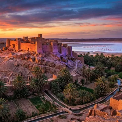 El Méniaa 2025 : Oasis Rouge, Flamants Ramsar, M'naguer