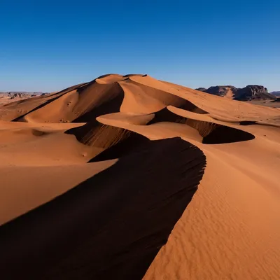 Erg Admer 2025 : Méharée Touareg, Gazelle Rhim UNESCO