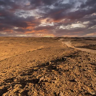 Tindouf 2025 : Désert Extrême, Gara Djebilet 3.5Gt Fer